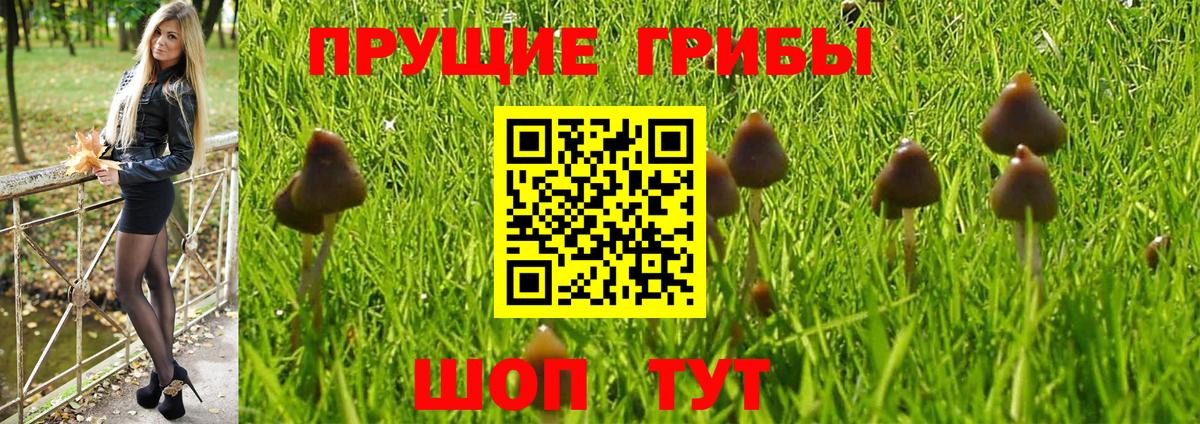 Псилоцибиновые грибы прущие грибы Нягань