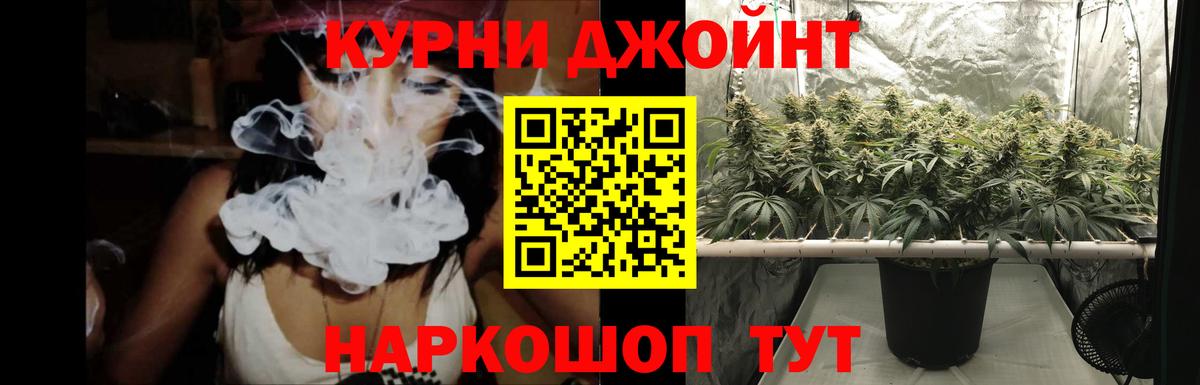 Каннабис план Нягань